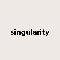 singularity是什么意思