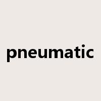 pneumatic是什么意思