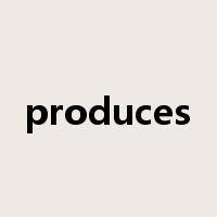 produces是什么意思