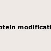 protein modification是什么意思