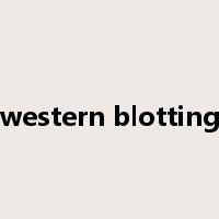 western blotting是什么意思