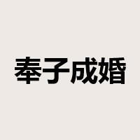 奉子成婚是什么意思