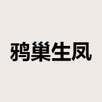 鸦巢生凤是什么意思