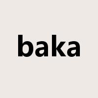 baka是什么意思