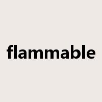 flammable是什么意思
