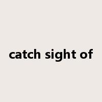 catch sight of是什么意思