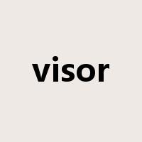 visor是什么意思