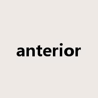 anterior是什么意思