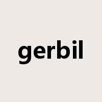 gerbil是什么意思