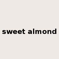 sweet almond是什么意思