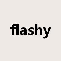 flashy是什么意思