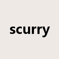 scurry是什么意思