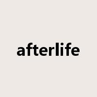 afterlife是什么意思