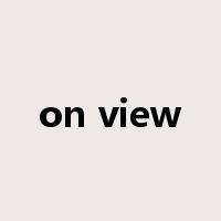 on view是什么意思