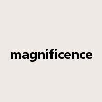 magnificence是什么意思