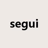 segui是什么意思