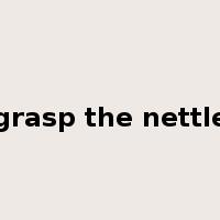 grasp the nettle是什么意思