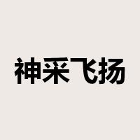 神采飞扬是什么意思