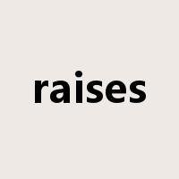 raises是什么意思