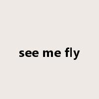 see me fly是什么意思