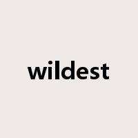 wildest是什么意思