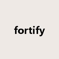 fortify是什么意思