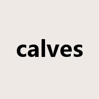 calves是什么意思