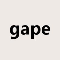 gape是什么意思
