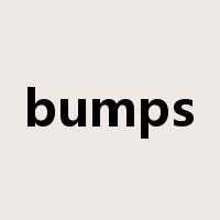 bumps是什么意思
