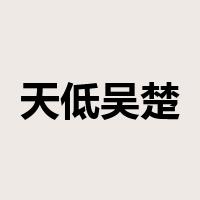 天低吴楚，眼空无物是什么意思