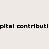 capital contribution是什么意思