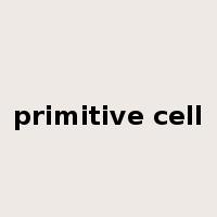 primitive cell是什么意思