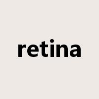 retina是什么意思