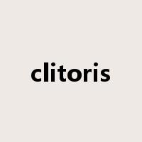 clitoris是什么意思