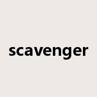 scavenger是什么意思