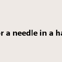 look for a needle in a haystack是什么意思