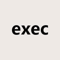 exec是什么意思