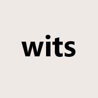 wits是什么意思