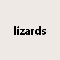 lizards是什么意思