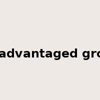 disadvantaged group是什么意思