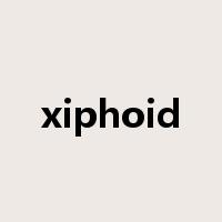 xiphoid是什么意思