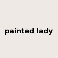 painted lady是什么意思