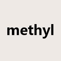 methyl是什么意思