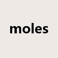 moles是什么意思