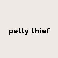 petty thief是什么意思