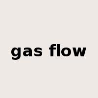 gas flow是什么意思