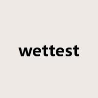 wettest是什么意思