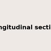 longitudinal section是什么意思