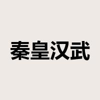 秦皇汉武是什么意思