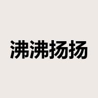 沸沸扬扬是什么意思